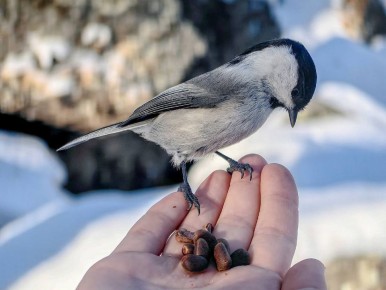 Доброе утро, забайкальцы!. Пусть ваши выходные пройдут в уютной и тёплой атмосфере