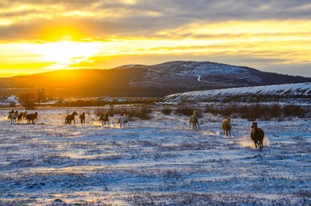 Доброе утро! Продолжаем выходные