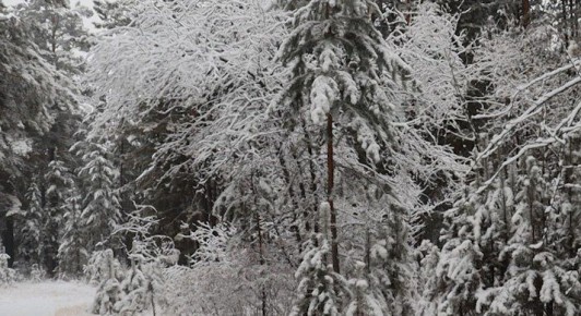 Синоптики рассказали, каким будет декабрь в Забайкалье