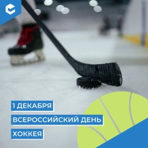 Сегодня в нашей стране отмечается Всероссийский день хоккея