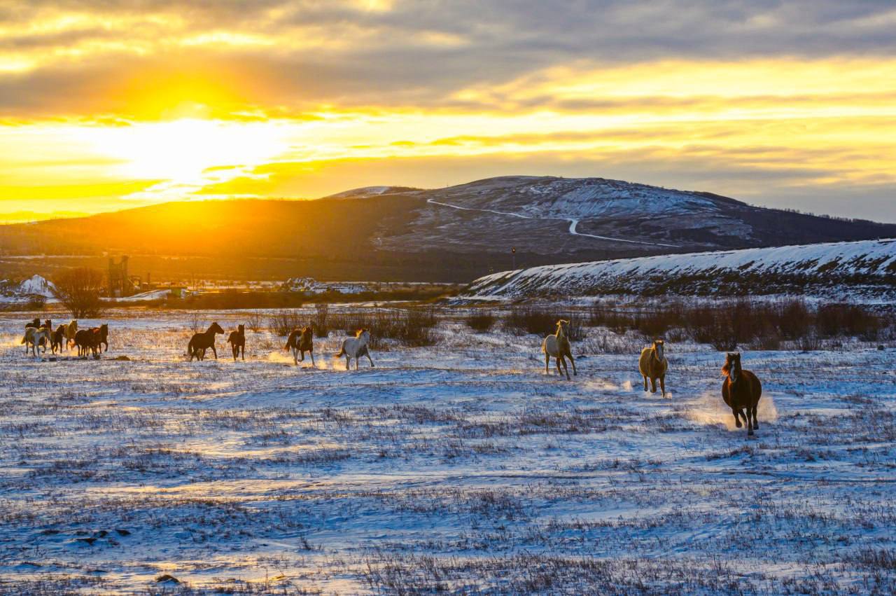 Доброе морозное. Сегодня ожидается сильный ветер 15-20 м/с