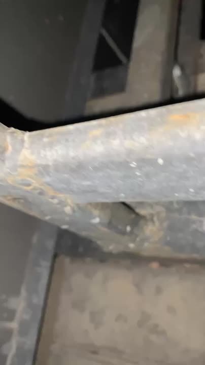 Операция по спасению. Наш смм-специалист вчера вечером вышла на улицу и услышала, что где-то громко кричит кошка