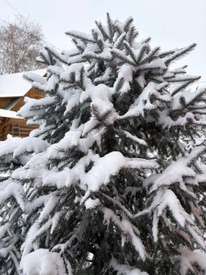 Доброе утро, забайкальцы! Вторник, 9 декабря