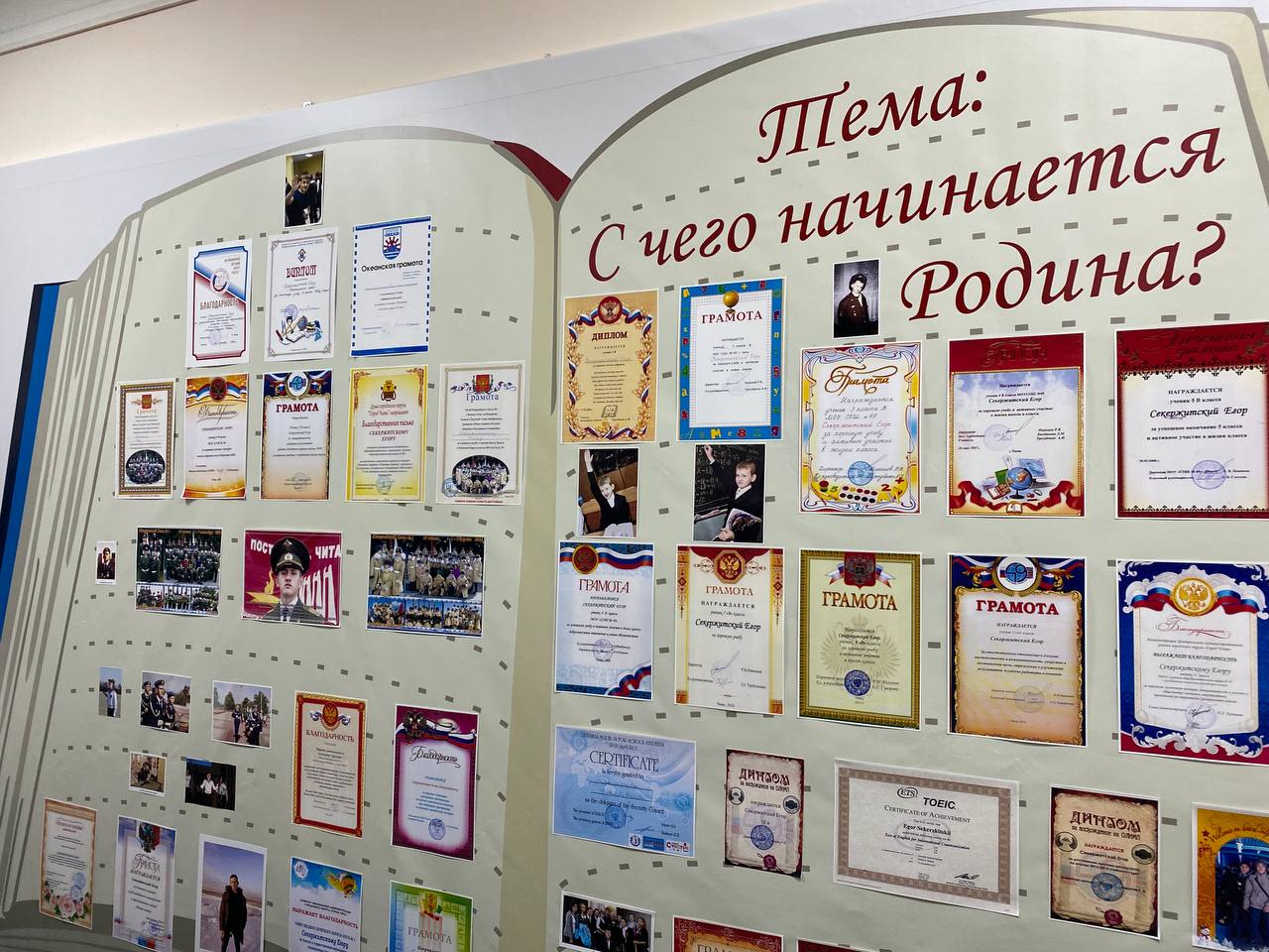 Напомним, 25 марта Секержитский Егор Александрович на боевой машине пехоты, возглавляя колонну, выдвинулся сопровождать колонну боевой техники по маршруту, который пролегал через поселок Сухая Каменка Харьковской области...