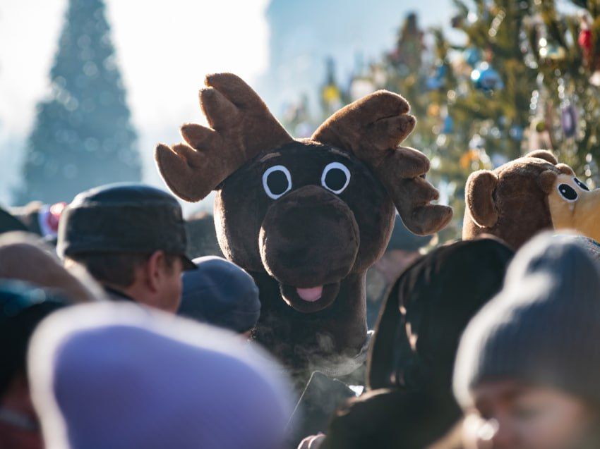 �������� ���������, �������� � ��������� ������� �������� ������� �� ��������� ����� ����������� 14 �������