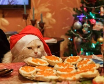 Ты под бой курантов, после того как весь новогодний вечер простоял у плиты