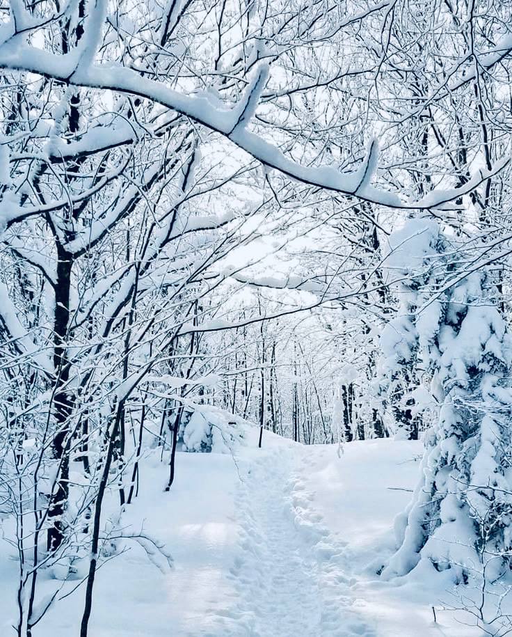 Доброе утро, друзья! На календаре – 10 декабря, среда