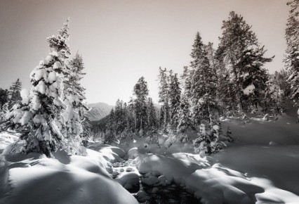 Доброе утро!. Желаем вам продуктивного дня! Улыбайтесь сегодня почаще Фото: Дмитрий Портных @zabrtk | Мы в MAX