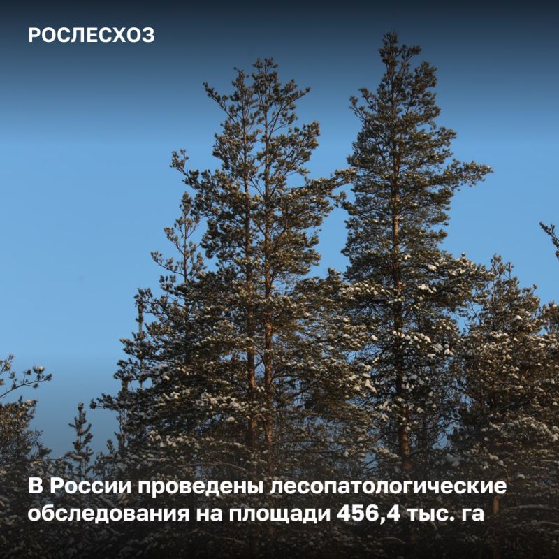 � ����������� �������� ������� ������� ����������� �����