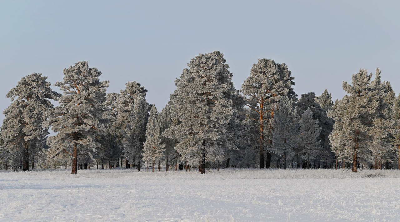 Доброе утро, забайкальцы и гости региона! Сегодня 11 декабря — четверг Доброе утро, забайкальцы и гости региона! Сегодня 11 декабря — четверг