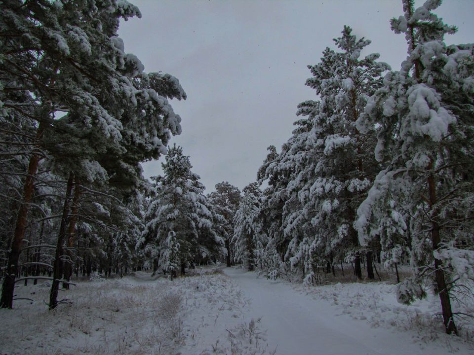 ������ ����, ����������� � ����� �������! ������� 11 ������� � �������