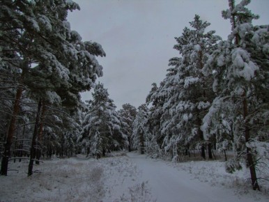 Доброе утро, забайкальцы и гости региона! Сегодня 11 декабря — четверг