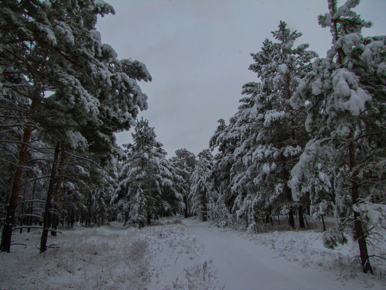 Доброе утро, забайкальцы и гости региона! Сегодня 11 декабря — четверг