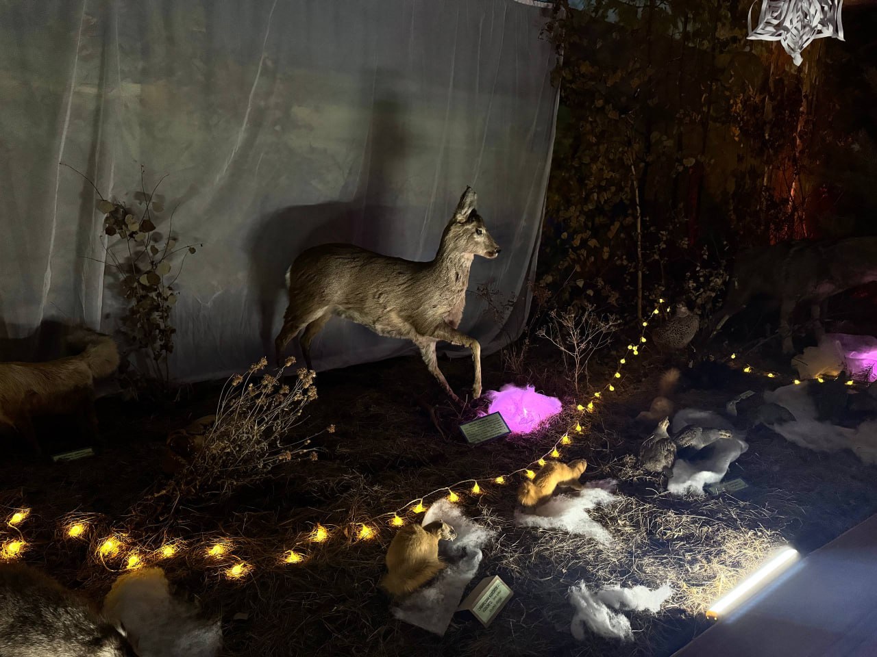 Курс – на праздничное настроение: забайкальцы украшают дворы и общественные территории к Новому Году Курс – на праздничное настроение: забайкальцы украшают дворы и общественные территории к Новому Году