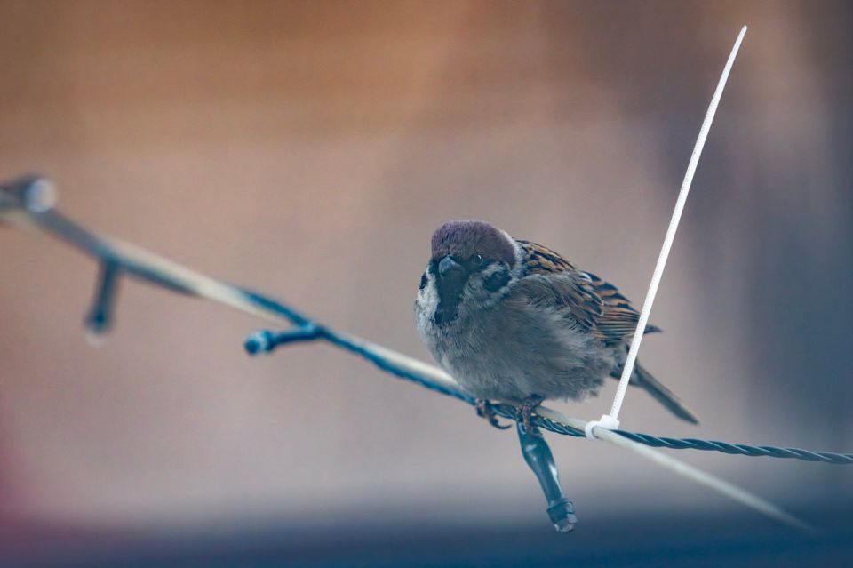 ������ �����, ������� �����������! �� ����������� �������� ����� �������� ������ � �������� ��� � �������� ������ �������� � ����� �������� ���������