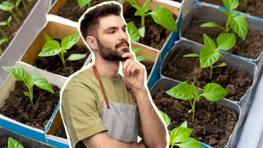 Не затягивайте с посадкой этих овощей: сейте в открытый грунт уже в майские праздники