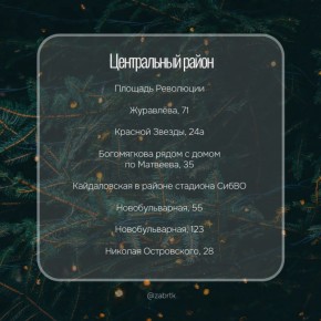 А вы уже купили елку?. Сегодня в чите открылись 37 елочных базаров