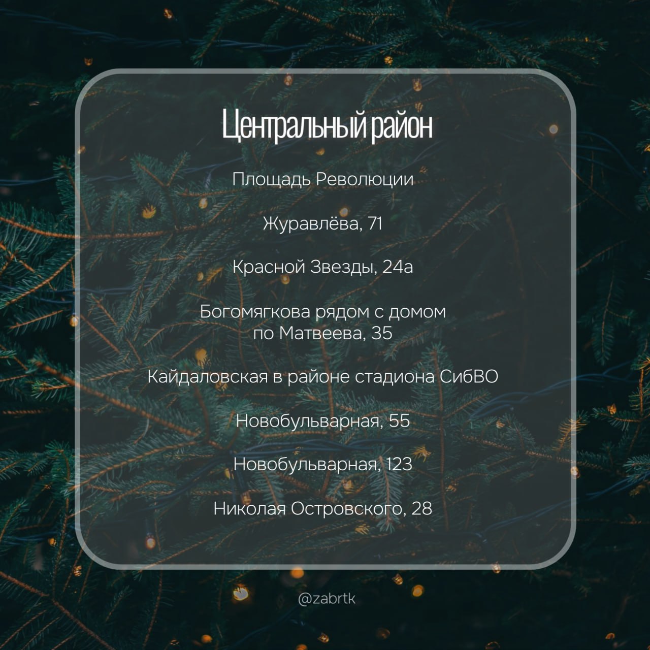 А вы уже купили елку?. Сегодня в чите открылись 37 елочных базаров