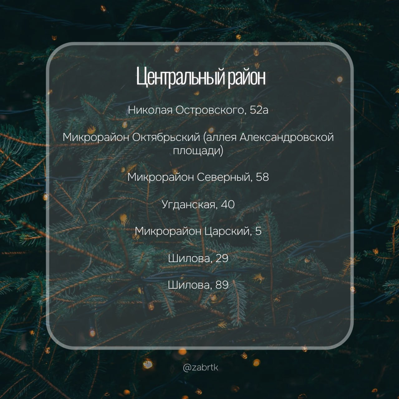 А вы уже купили елку?. Сегодня в чите открылись 37 елочных базаров А вы уже купили елку?. Сегодня в чите открылись 37 елочных базаров