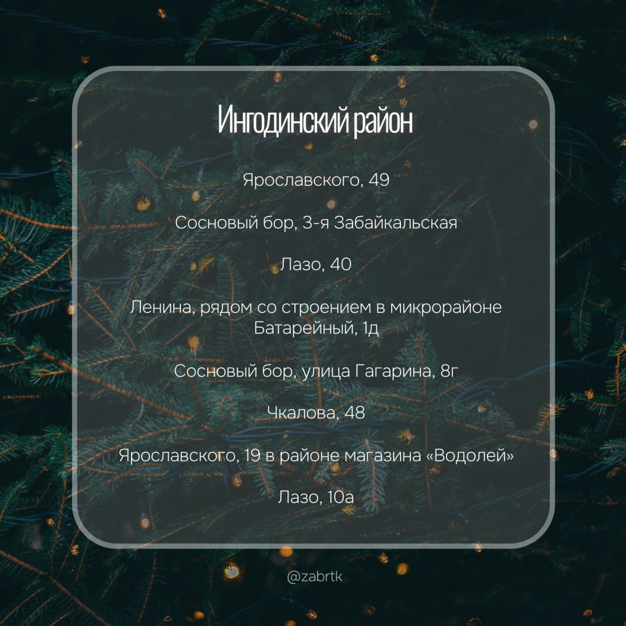А вы уже купили елку?. Сегодня в чите открылись 37 елочных базаров А вы уже купили елку?. Сегодня в чите открылись 37 елочных базаров
