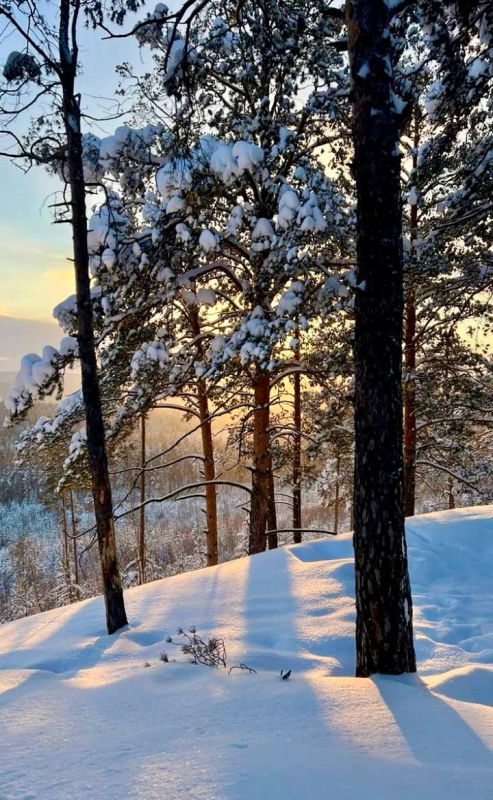 ������ ����, ������! �� ��������� � 16 �������, �������