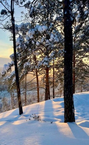 Доброе утро, друзья! На календаре – 16 декабря, вторник