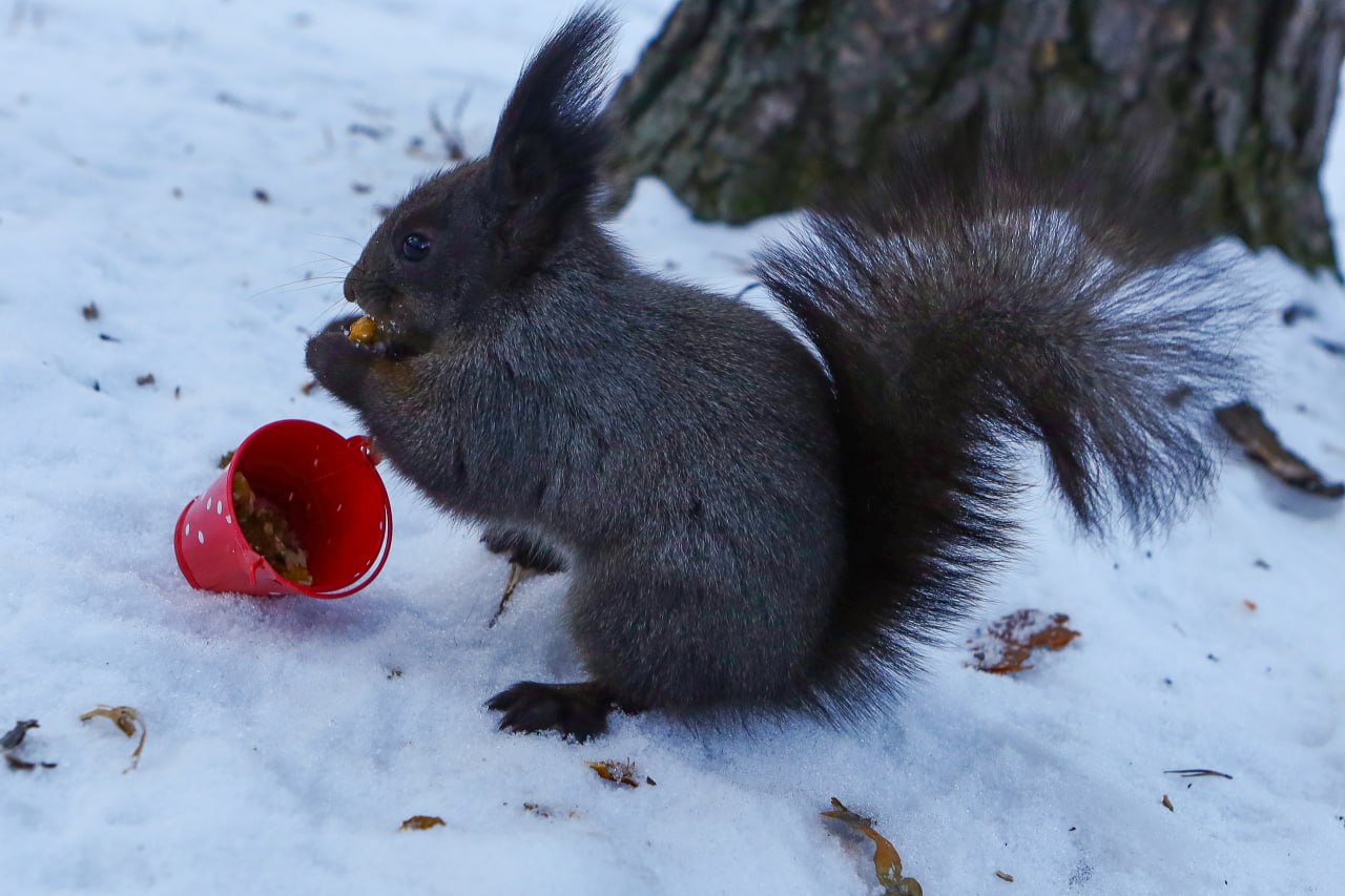 Доброе утро, Забайкалье! На календаре вторник, 16 декабря