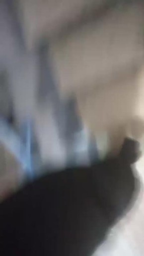 ����� �2 � ����� ���� ������������ ��-�� ���������� ��������� �� ������ ������