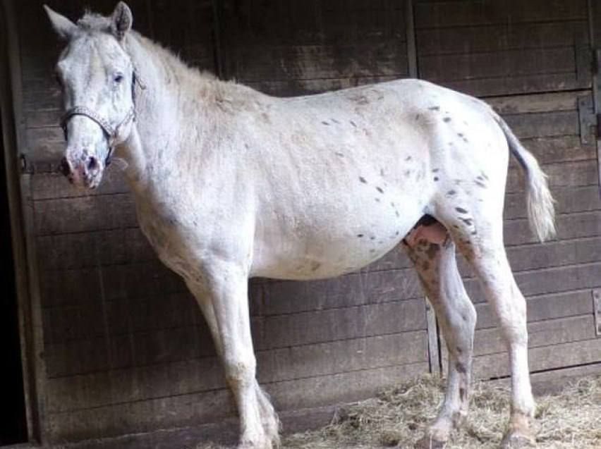 ������������� ������ ������� ������ ������� �������� ��������