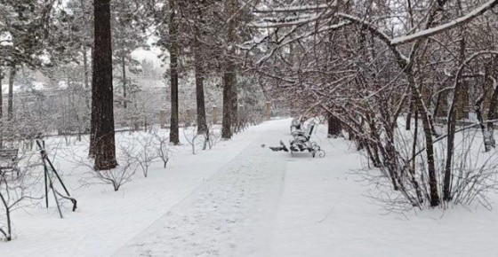 Забайкалье накрыло циклоном с обильными осадками