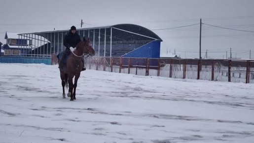«У лошади, как и любого человека есть свой характер»