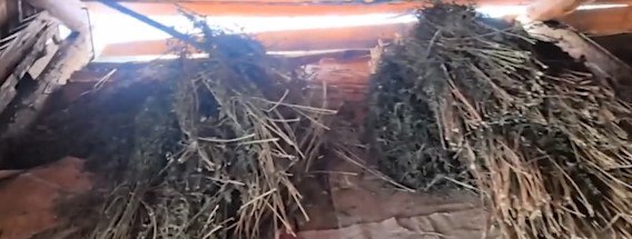 В регионе по сравнению с показателями 2024 года фиксируется снижение уровня алкоголизации и наркотизации населения