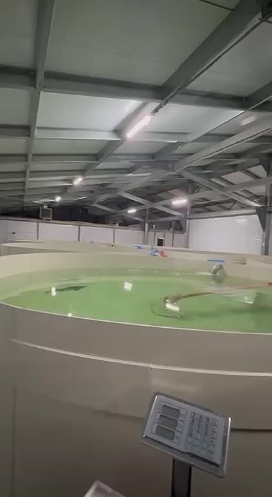 ������, �������, ���������: � ���� ��� ������� ��������������� ��������� ������ ���������� ������