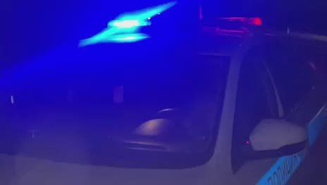 ����������� ����������������: