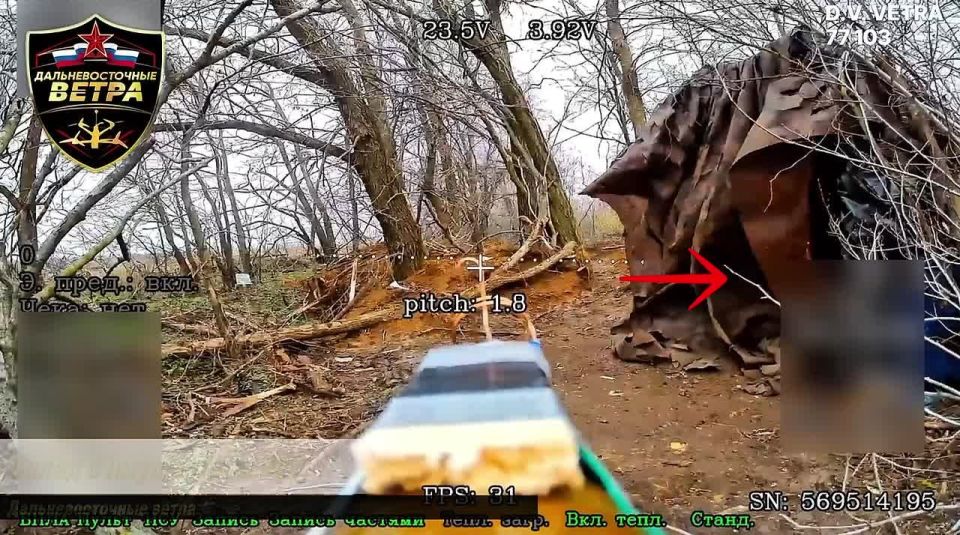 �����-����������� ��������������� ����� ����������� "������" ���������� ������ �����: ��� �� �����, ��� � � �������