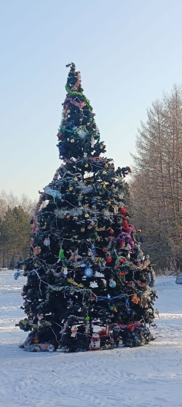 ������ ��������� ������ �������� �� ������ 2026 ����