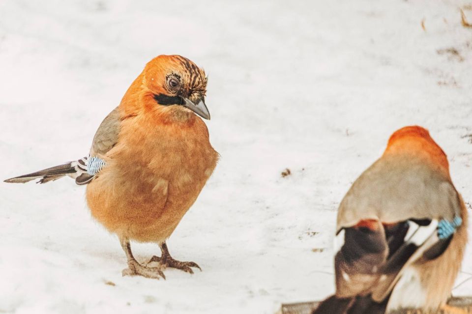 �� ������� ���. ������ ����, �����������! ���� ���������� ������ @zabrtk | �� � MAX