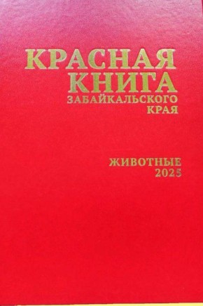 � ���������� ����� ����� ������� ������������ ������� �����