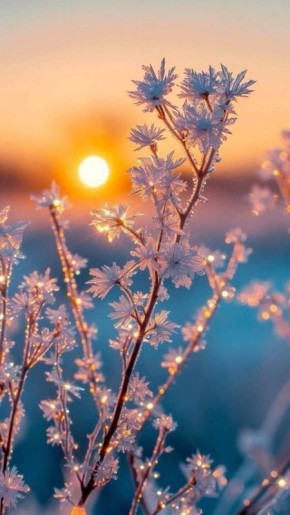 ������ ����, ����������!. �� ��������� 21 �������, �����������