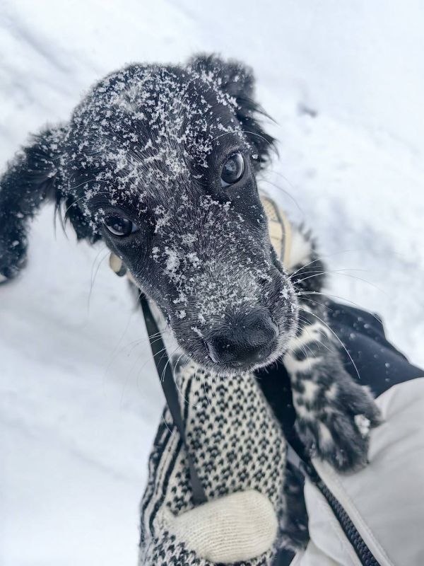 �������� �������� � �����