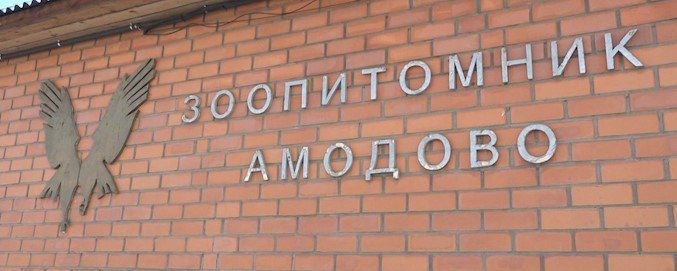 � ������������ �������� ��� ����� ��������� ���������� ���������