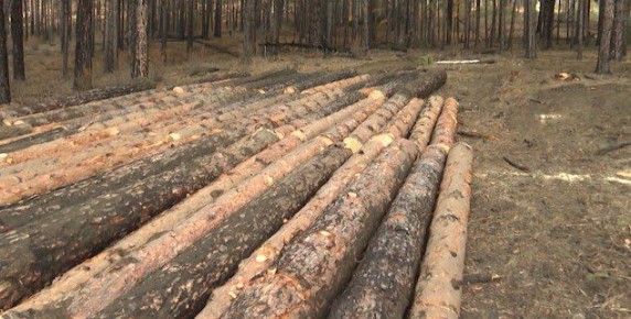 �� ��������� ������ ���� �������� 33 ������ ���������� ����� ������ ���������� ����� ������� ������� 676 ����������