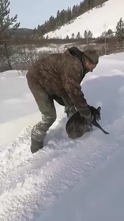 ���������� ��������� ������������� ������� ����� ������� ��������� �� �������� �����