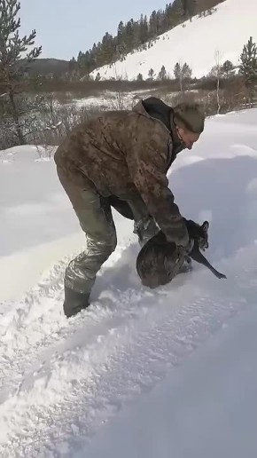 ���������� ��������� ������������� ������� ����� ������� ��������� �� �������� �����