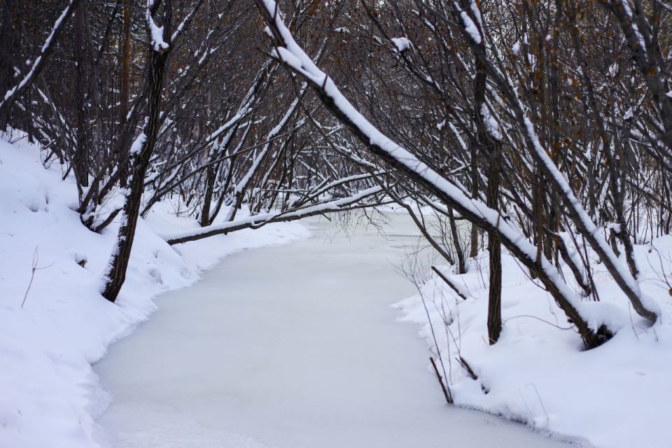 ������ ����, �����������!. ������ ��� ������������ � ������� ������ ����: �������� �������� @zabrtk | �� � MAX