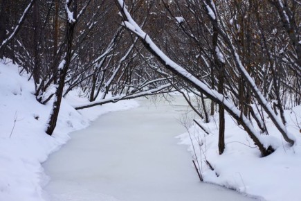 ������ ����, �����������!. ������ ��� ������������ � ������� ������ ����: �������� �������� @zabrtk | �� � MAX