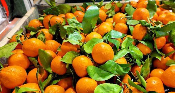 Новогоднее настроение в каждый дом, конечно же, входит с атрибутами долгожданного праздника