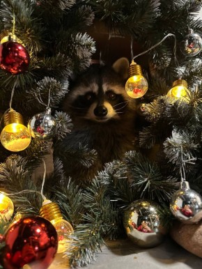 �������� � ��������� � ������ ���������� ���� � ��������� �� ���!