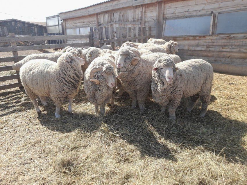 ��������� ��������� �� ��������� ������ ������� ����� �� ������������� �������������� �������������