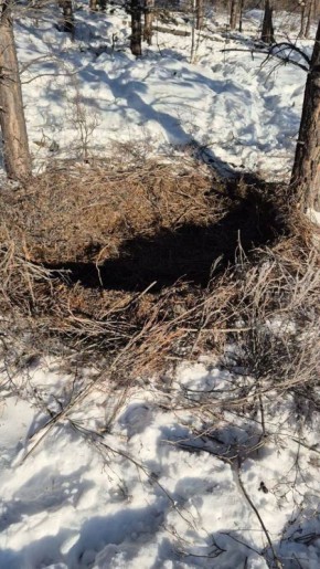 ����� �� ��, ��� ����� ������ ���� ���� ������ �� ����?